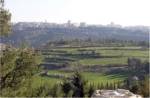 מצפה נפתוח - ריאה ירוקה על רקע העיר ירושלים