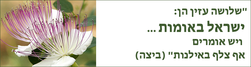 עם ישראל חי לעד בארץ ישראל