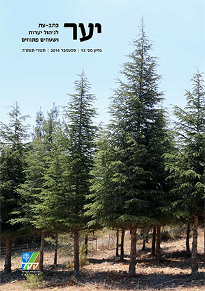 שער חוברת יער, גיליון מספר 13, ספטמבר 2014 
