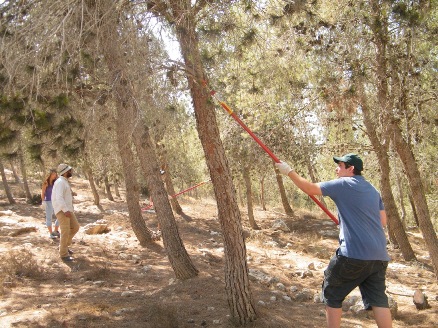 פעילות במסגרת יערן ליום אחד.