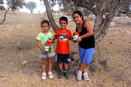Children harvest olives in Tel-Hadid
