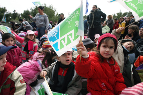 טו בשבט 2012 ביער ביריה.