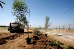 Lifesaving Trees -  
Tree Plantings to Protect Western Negev Residents